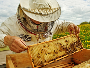 KOVAN VE ÇERÇEVE;EKİPMANLARI