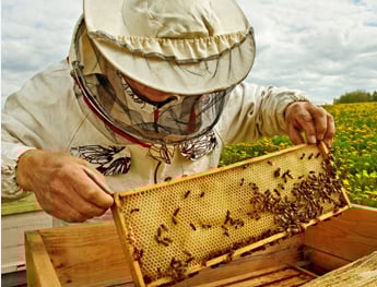 KOVAN VE ÇERÇEVE;EKİPMANLARI