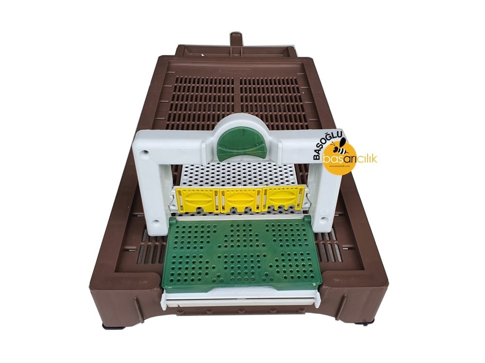 Happybees 6 Çerçevelik Ruşet Taban