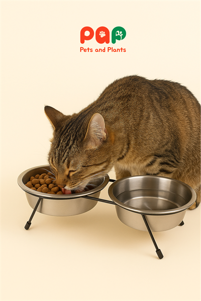 24 Oz Kedi Köpek Çiftli Mama ve Su Kabı