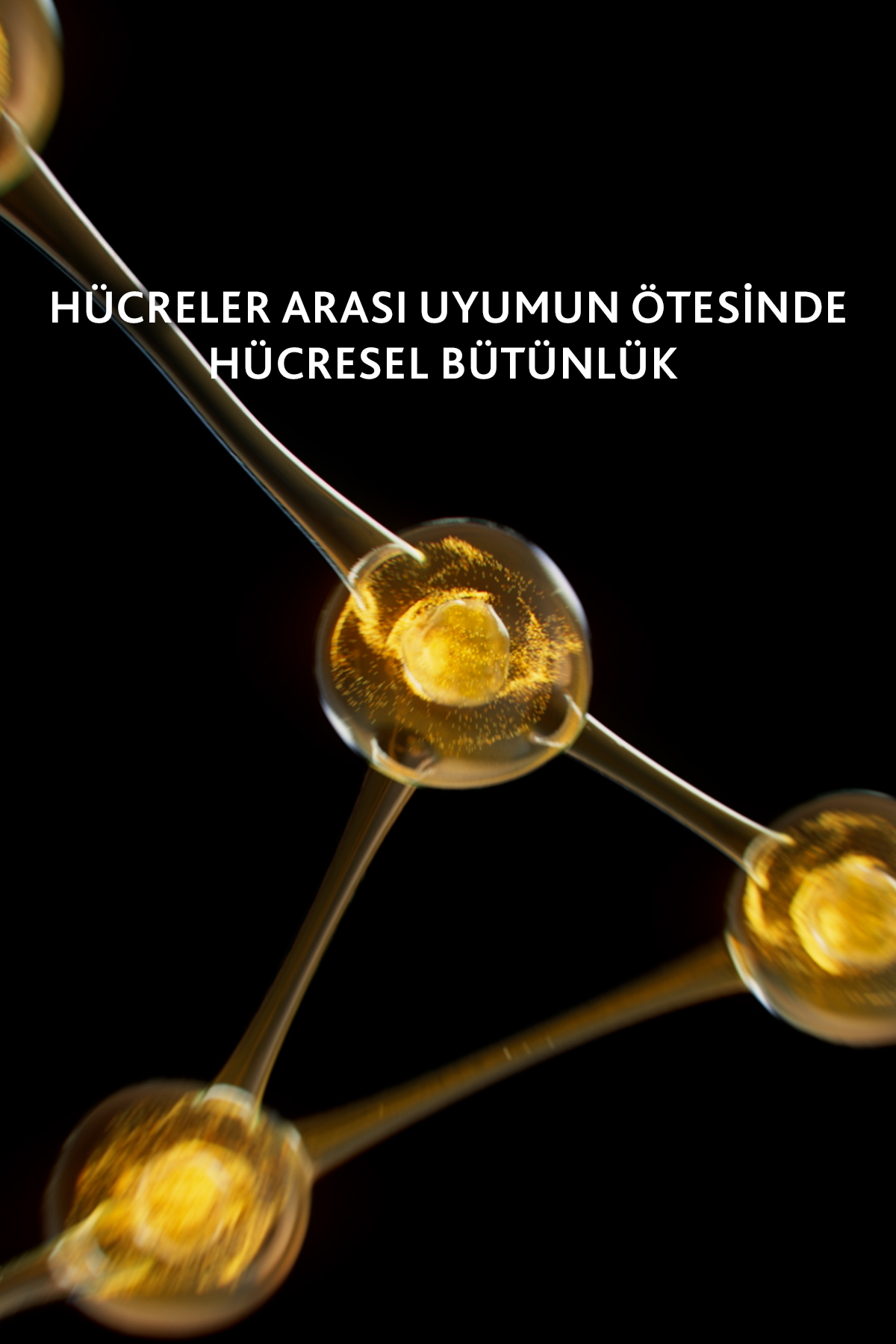 Institut Esthederm Excellage Sleeping Oil Gece Bakım Yağı 30 ml