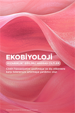 Sensibio AR+ CC Cream SPF50+ Güneş Koruyuculu Kızarıklık Karşıtı Renkli Nemlendirici Krem 40 ML