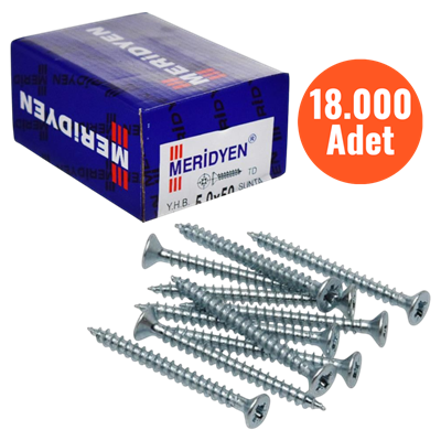 Meridyen Sunta Vidası 4,0*20 mm 18.000 Adet - PZ 2 Bits Uç ile Kullanılır