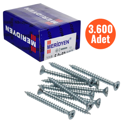Meridyen Sunta Vidası 4,0*60 mm 3.600 Adet - PZ 2 Bits Uç ile Kullanılır
