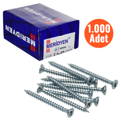 Meridyen Sunta Vidası 5,0*100 mm 1.000 Adet Tam Diş - PZ 2 Bits Uç ile Kullanılır