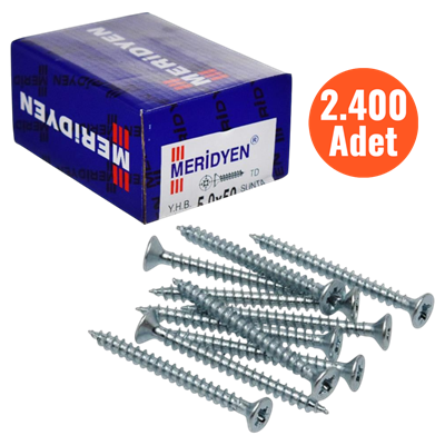 Meridyen Sunta Vidası 5,0*60 mm 2.400 Adet - PZ 2 Bits Uç ile Kullanılır