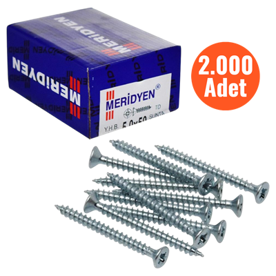 Meridyen Sunta Vidası 5,0*80 mm 2.000 Adet Tam Diş - PZ 2 Bits Uç ile Kullanılır