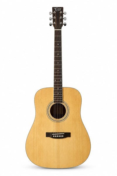 QTE QAG48NT Natürel Akustik Gitar