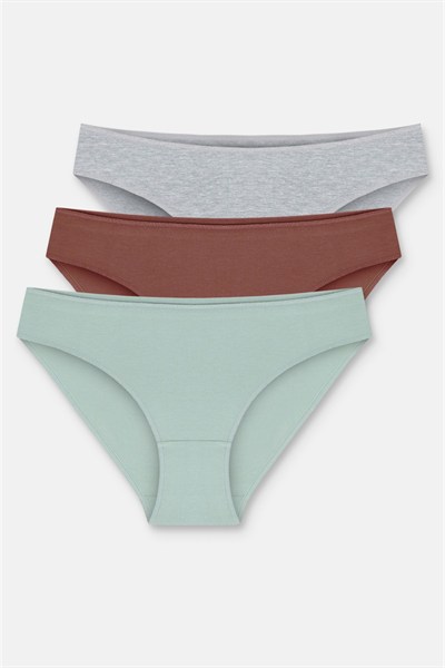 3lü Pamuklu Basic Normal Bel Slip Külot