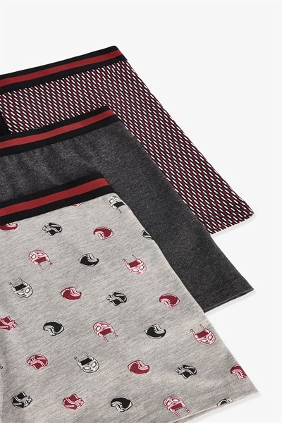Erkek Organik Çizgili 3lü Boxer