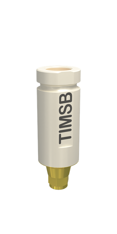 Kemik Seviyesi Mini Bağlantı Ti- Base Abutment Scanbody