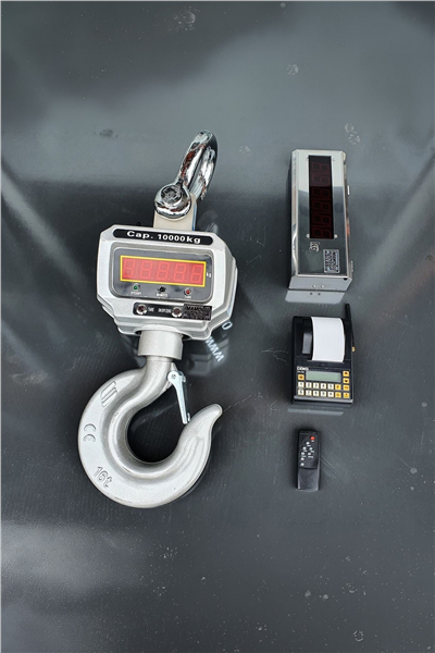 Densi -CX 10 Ton Askılı Yazıcılı Vinç Kantarı Kumandalı Yazıcılı
