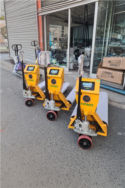Hana Transpalet Baskül - 2 Ton Döküm Pompalı