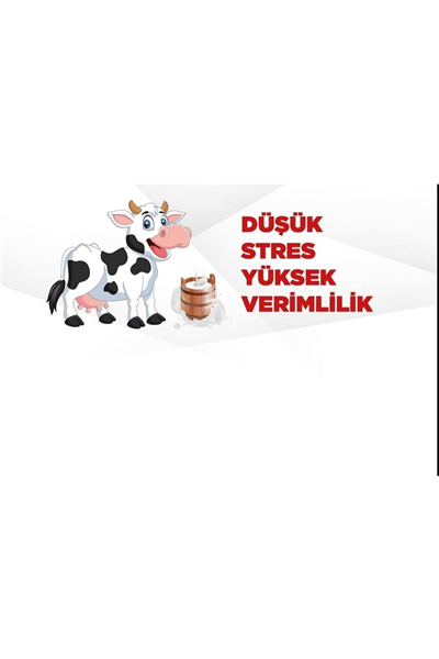 Hayvan Kaşıma Fırçası Makinesi