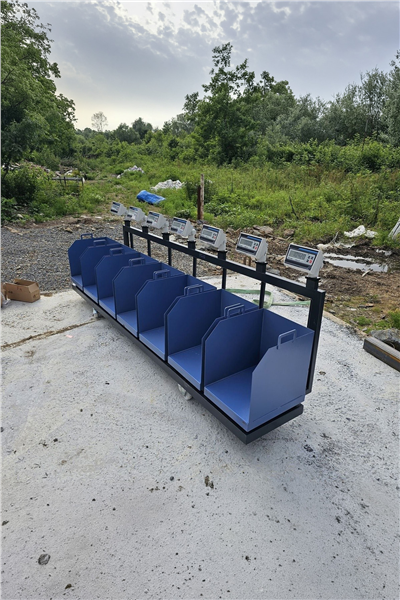 İmmax Kurban Hisseleme Hisse Pay Baskülü 150 kg 40x50 cm