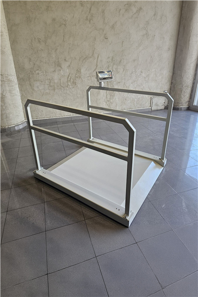 İMMAX Rampalı Tutunma Barlı Diyaliz Baskülü 300 KG 90x110 Cm Şarjlı