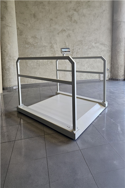 İMMAX Rampalı Tutunma Barlı Diyaliz Baskülü 600 KG 90x110 Cm Şarjlı