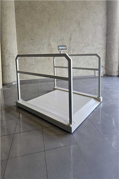 İMMAX Rampalı Tutunma Barlı Diyaliz Baskülü 300 KG 90x110 Cm Şarjlı