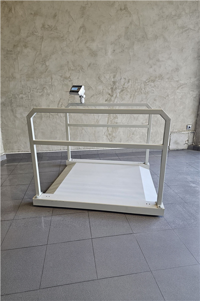 İMMAX Rampalı Tutunma Barlı Diyaliz Baskülü 600 KG 90x110 Cm Şarjlı