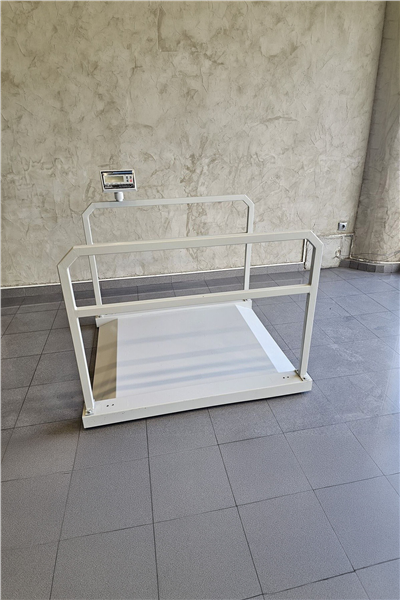 İMMAX Rampalı Tutunma Barlı Diyaliz Baskülü 300 KG 90x110 Cm Şarjlı