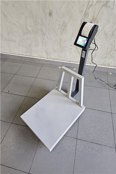 İmmax Yazıcılı Baskül 40x50 cm  150 kg