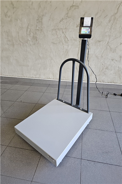 İmmax Yazıcılı Baskül 50x60 cm  300 kg