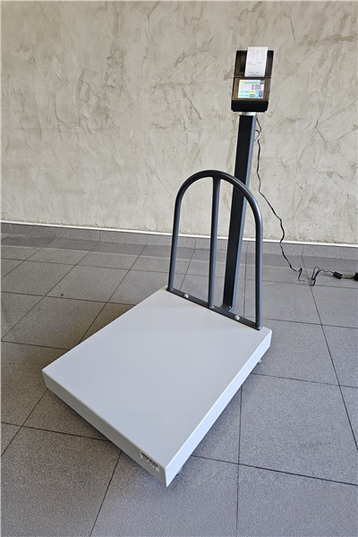İmmax Yazıcılı Baskül 60x70 cm  600 kg