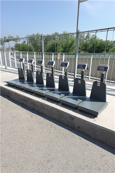 Kurban Hisseleme Hisse Pay Baskülü 150 Kg 40x50 Cm