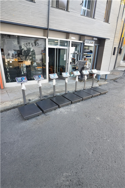 Kurban Hisseleme Hisse Pay Baskülü 300 Kg 40x50 Cm