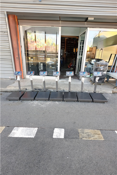 Kurban Hisseleme Hisse Pay Baskülü 300 Kg 40x50 Cm