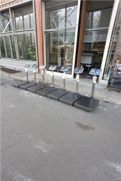 Kurban Hisseleme Hisse Pay Baskülü 300 Kg 40x50 Cm