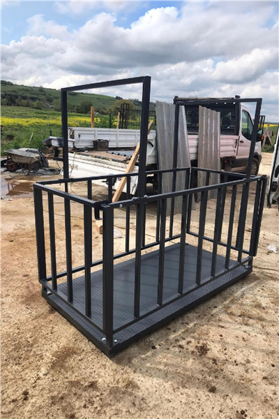 Plus 3 ton Özel Üretim Canlı Hayvan Baskülü