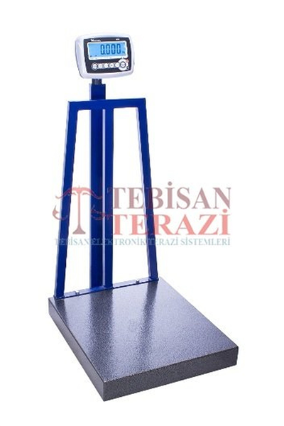 RCW 600 KG X 200 GR 70 X 80 TARTIM BASKÜLÜ