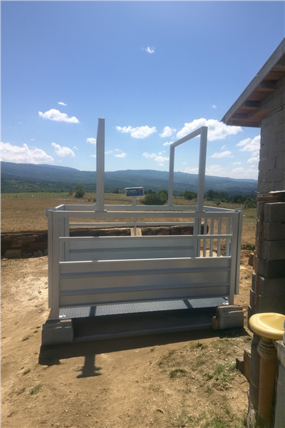 TEB 1500 KG X 500 GR 110 X 200 CANLI HAYVAN BASKÜLÜ