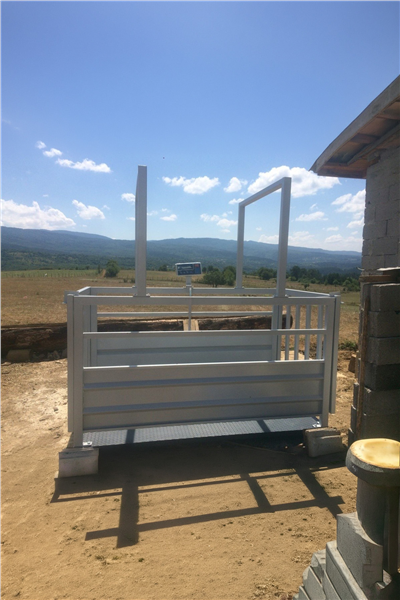 TEB 1500 KG X 500 GR 110 X 240 CANLI HAYVAN BASKÜLÜ
