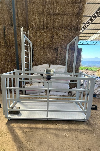 Tem / Eko Canlı Hayvan Baskülü 100x200 - 1500 Kg