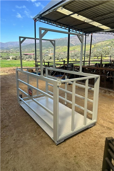 Tem / Eko Canlı Hayvan Baskülü 100x200 - 1500 Kg