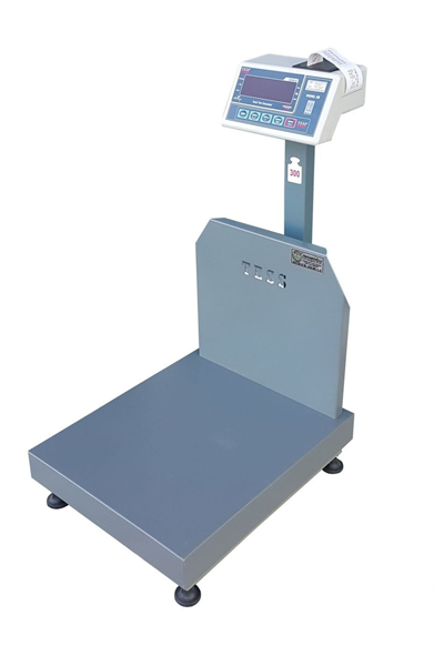 Tess Elektronik Yazıcılı Baskül 50x60 cm - 300 kg
