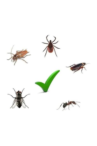 3lü K-othrine Envu Sc50 50cc Konsantre Genel Haşere Ilacı