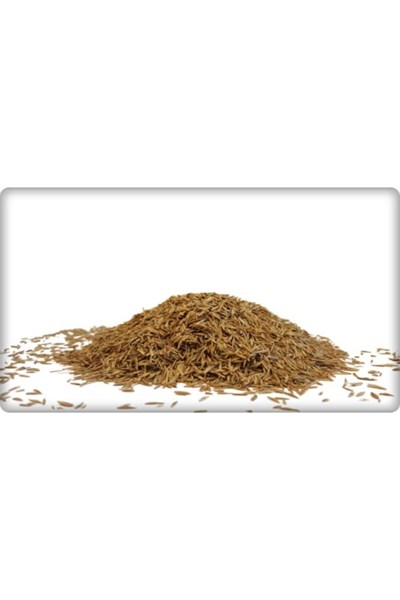 7li Karışım Fiesta 7 Günde Çimlenen 1 kg Çim Tohumu