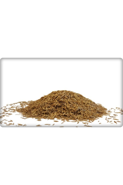 7li Karışım Fiesta 7 Günde Çimlenen 1 kg Çim Tohumu