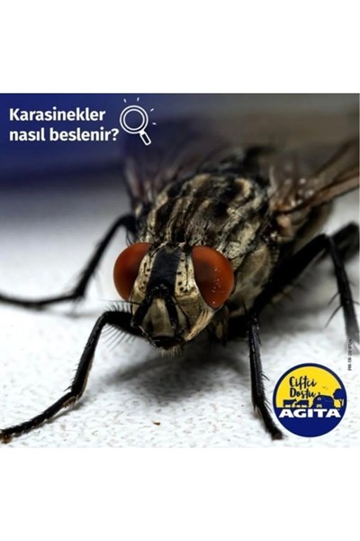Agita 10 Wg Karasinek Ilacı 100 gr