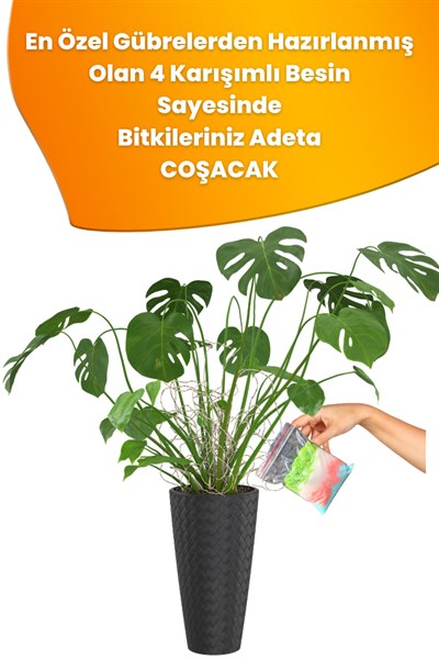 Tüm Bitkiler İçin Besin, Bitki Coşturucu Özel 4lü Karışım 100 gr.