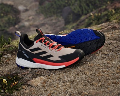 TERREX FREE HIKER 2 LOW GTX