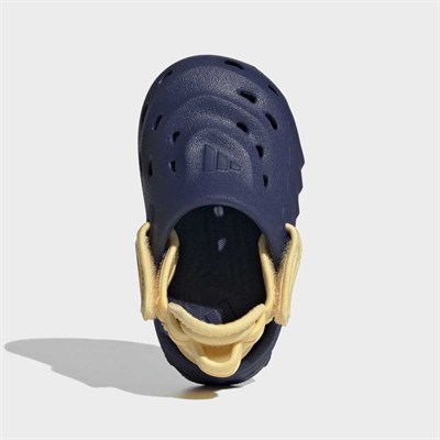 MAXXCLOG I