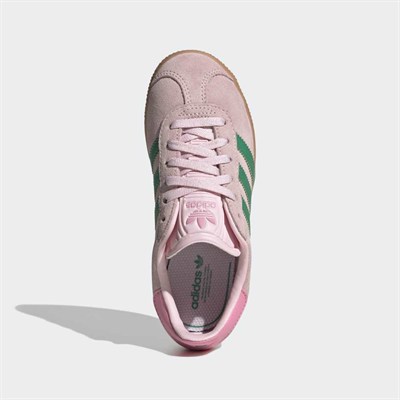 GAZELLE C