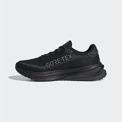 SUPERNOVA RISE GTX W