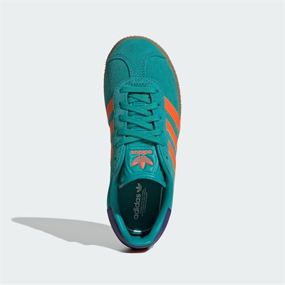 GAZELLE C