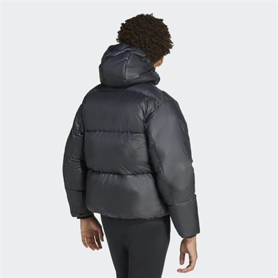 J Z.N.E. JKT