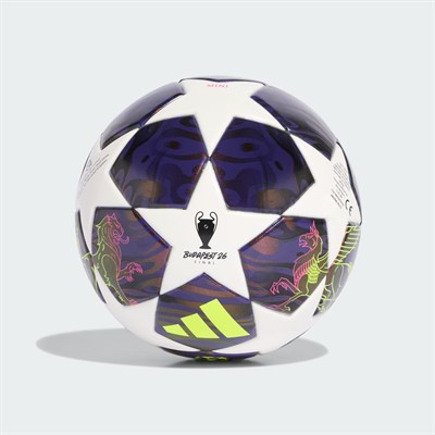 UCL MINI F